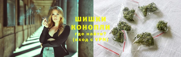 спайс Алзамай
