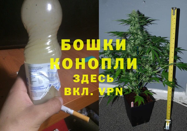 спайс Алзамай