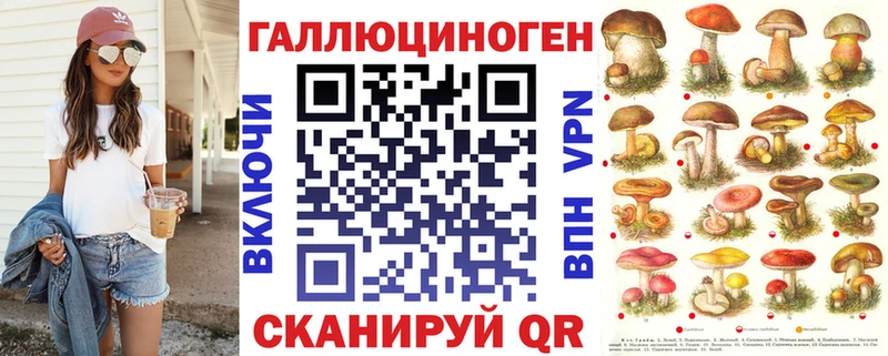 цена   Прохладный  Псилоцибиновые грибы Psilocybe 